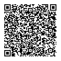 SB Electro Light QR Code